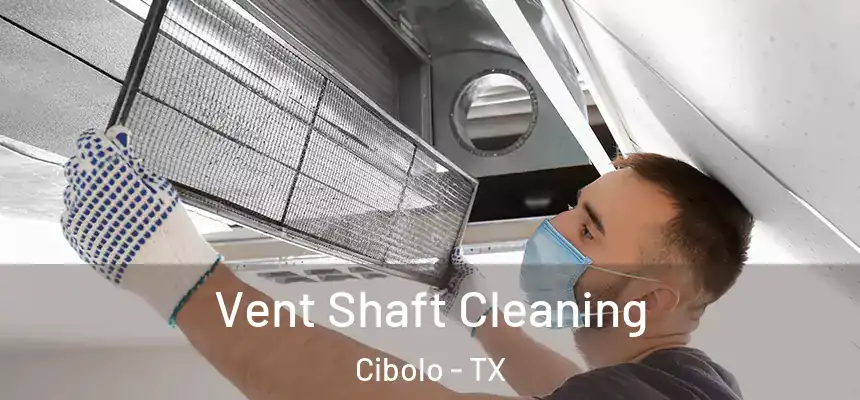 Vent Shaft Cleaning Cibolo - TX