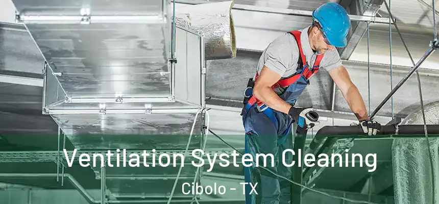 Ventilation System Cleaning Cibolo - TX