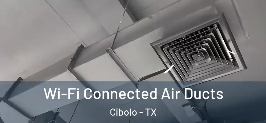 Wi-Fi Connected Air Ducts Cibolo - TX